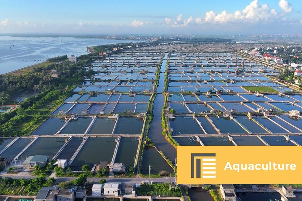 Aquaculture